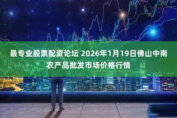 最专业股票配资论坛 2026年1月19日佛山中南农产品批发市场价格行情