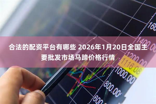 合法的配资平台有哪些 2026年1月20日全国主要批发市场马蹄价格行情