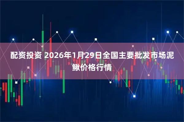 配资投资 2026年1月29日全国主要批发市场泥鳅价格行情