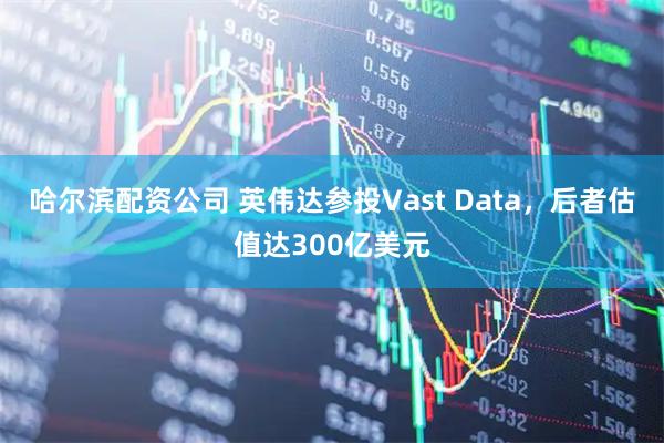 哈尔滨配资公司 英伟达参投Vast Data，后者估值达300亿美元