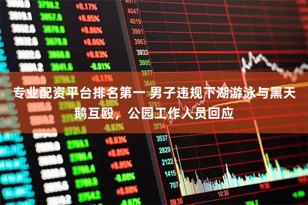 专业配资平台排名第一 男子违规下湖游泳与黑天鹅互殴，公园工作人员回应
